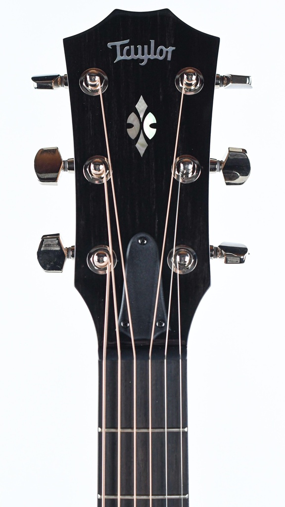 Taylor 714ce | The Fellowship of Acoustics